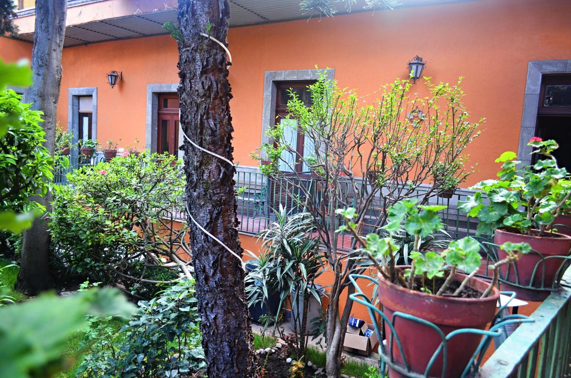 Hacienda Gobernadores Mexico City Luaran gambar