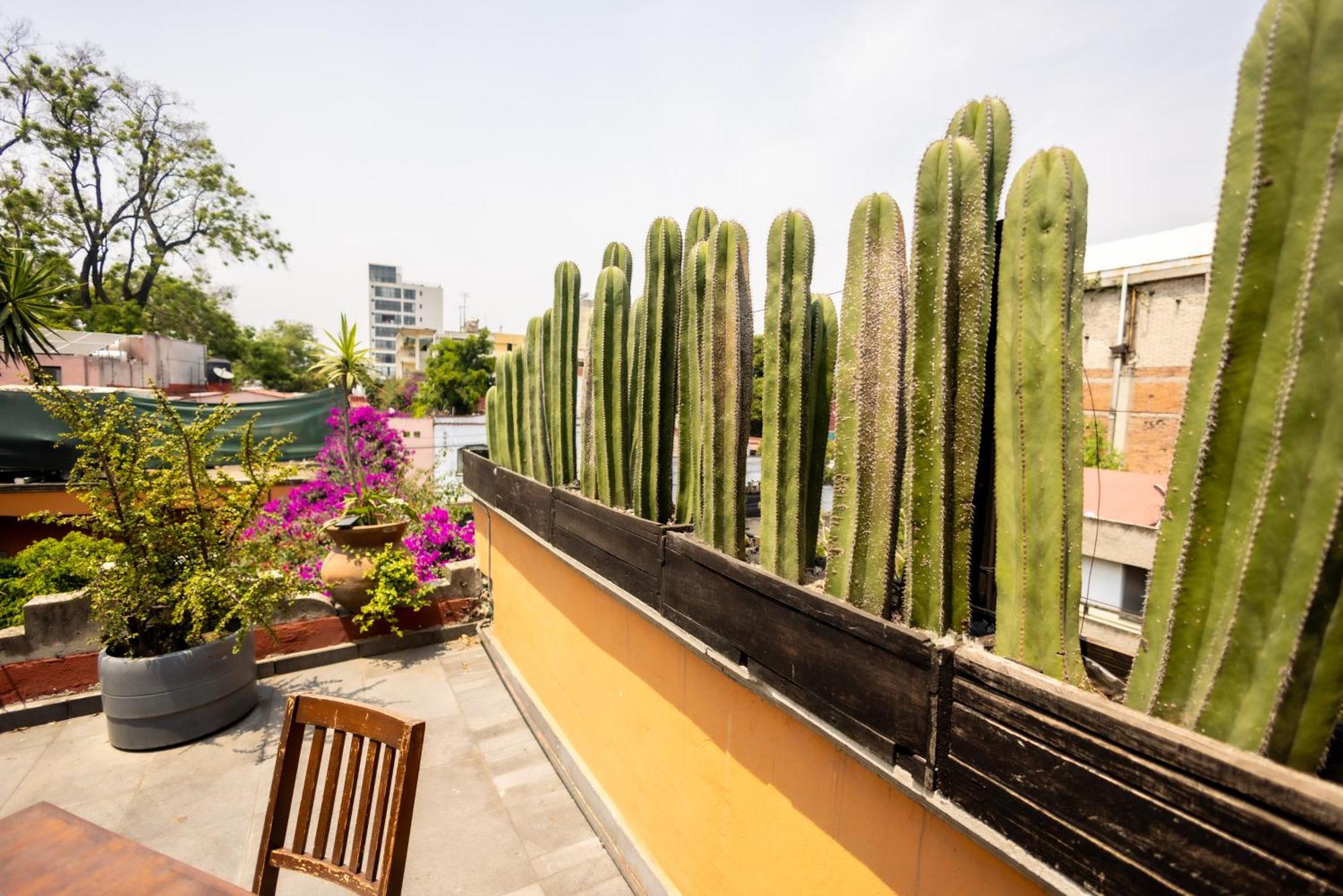 Hacienda Gobernadores Mexico City Luaran gambar