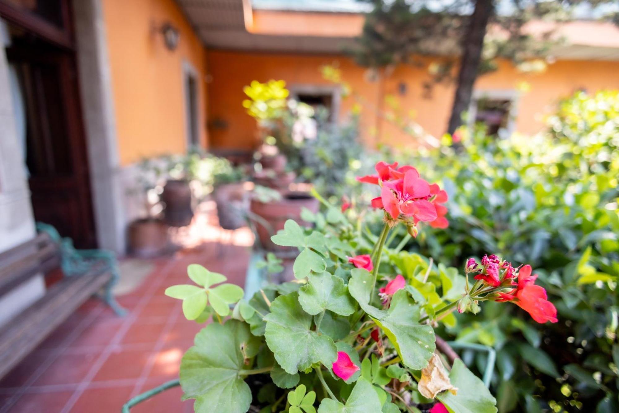 Hacienda Gobernadores Mexico City Luaran gambar